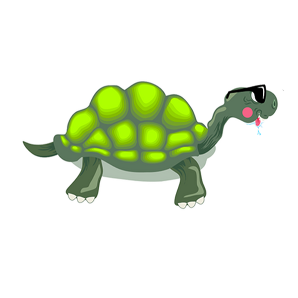 ilmanualedellatartaruga