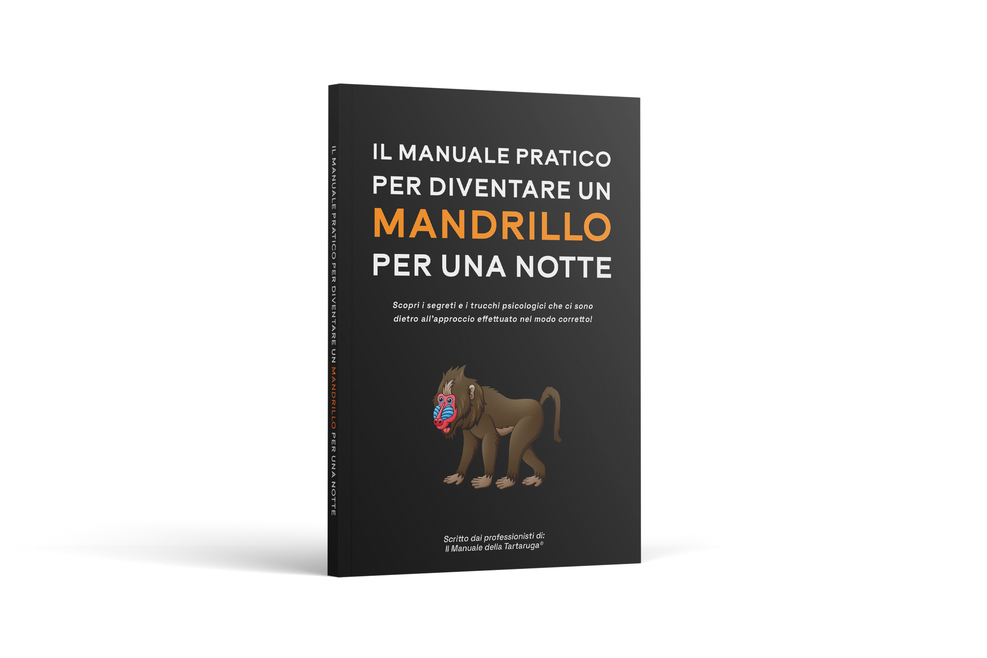 MANDRILLO RIMORCHIATORE™ - COME RIMORCHIARE IN UNA SERA